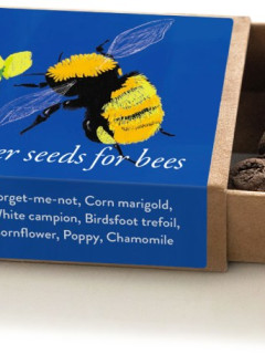 Trio of Wildflower Seedballs image