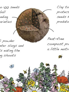 Butterfly Mix Seedballs packet